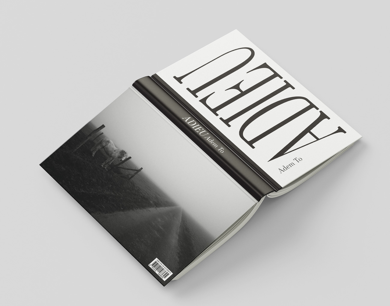 Portfolio 6